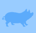 pig