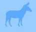 donkey