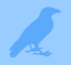 crow