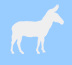 donkey