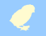 chick