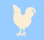 rooster